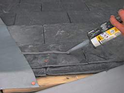 tullahemp 2780.JPG